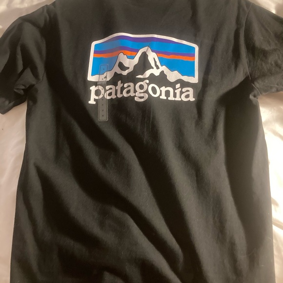 Patagonia Other - Patagonia t shirt